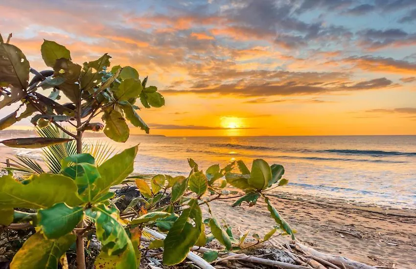 Apartmán Eco Resort Condos Aguada Portoriko