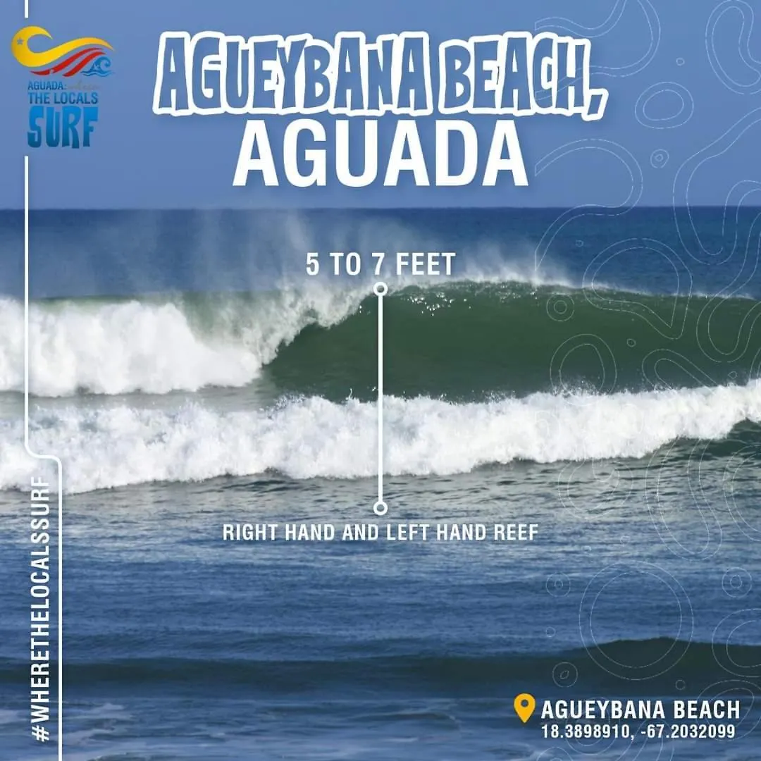 Eco Resort Condos Aguada